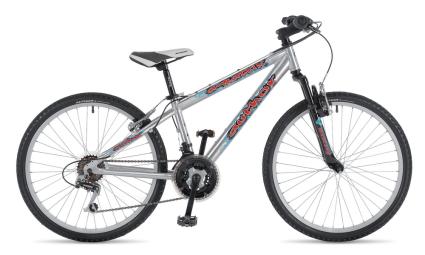 http://www.vipbike.ru/_files/catalog/Bikes/aut09/A-Matrix2.jpg