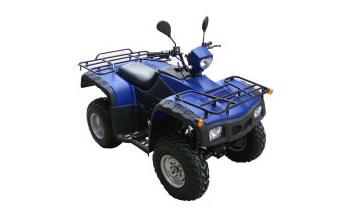 Квадроцикл UMC  UM-ATV 250