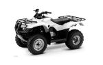 Квадроцикл Honda  TRX250FA (2Х4)