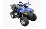 Квадроцикл Stels  ATV-110 Dinli